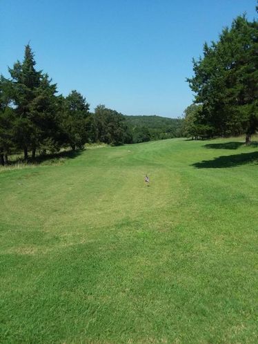 23980 Shadow Lake Dr, Wheatland, MO 65779